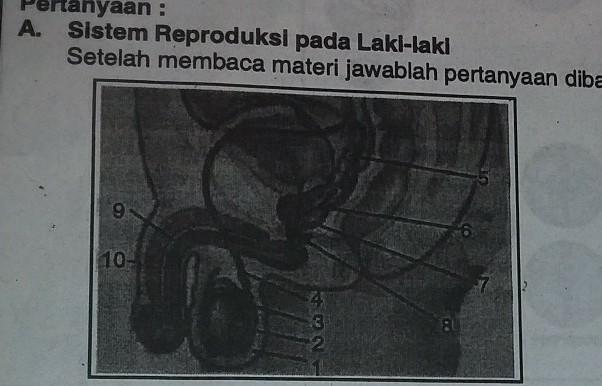 Maka hambatan pengantinya adalah …. Tuliskan Nama Alat Bagian Yang Ditunjuk Oleh Gambar Diatas Sesuai Dengan Urutan Nomor Pada Tabel Brainly Co Id
