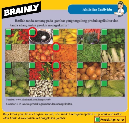 Domba, ikan, dan tanaman padi merupakan aset biologis yang . Berilah Tanda Centang Pada Gambar Yang Tergolong Produk Agrikultur Dan Tanda Silang Untuk Produk Brainly Co Id