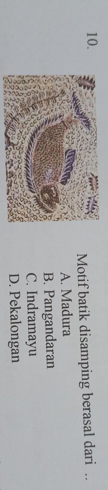 10.Motif Batik Disamping Berasal Daria Madurab. Pangandaranc. Indramayud. Pekalongan​ - Brainly.co.id 1597_X_355_jpg