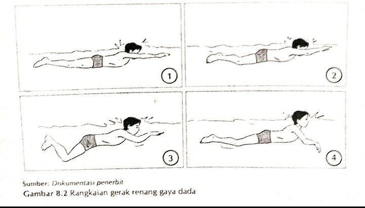 Gaya renang dada untuk sprint lebih mengutamakan . Contoh Soal Essay Renang Gaya Dada Dan Jawabannya Kelas 7 Coretan
