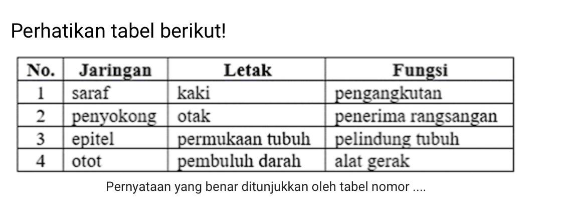 Ajar anak terlibat dalam buku bacaan. Simak Jelaskan 3 Manfaat Penerapan Ragam Hias Di Atas Bahan Tekstil Failfaire