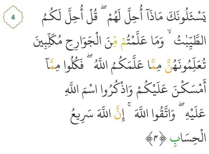 Hukum Tajwid Surat Al Maidah Ayat 4 Lengkap Dengan Hukum Tajwid Surat Al Maidah Ayat 4 Lengkap Dengan