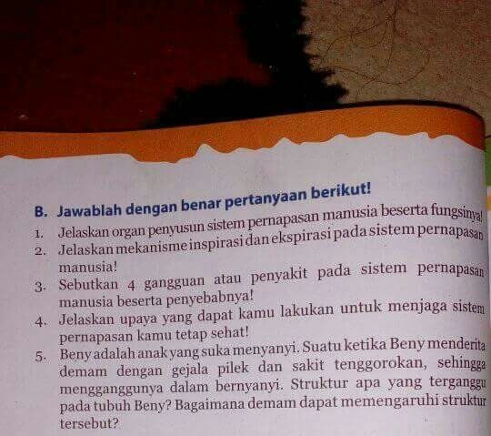 Jelaskan upaya yang dapat kamu lakukan untuk menjaga sistem pernapasan kamu tetap sehat! Tolong Jawab Ya Di Kumpulkan Bsk Brainly Co Id