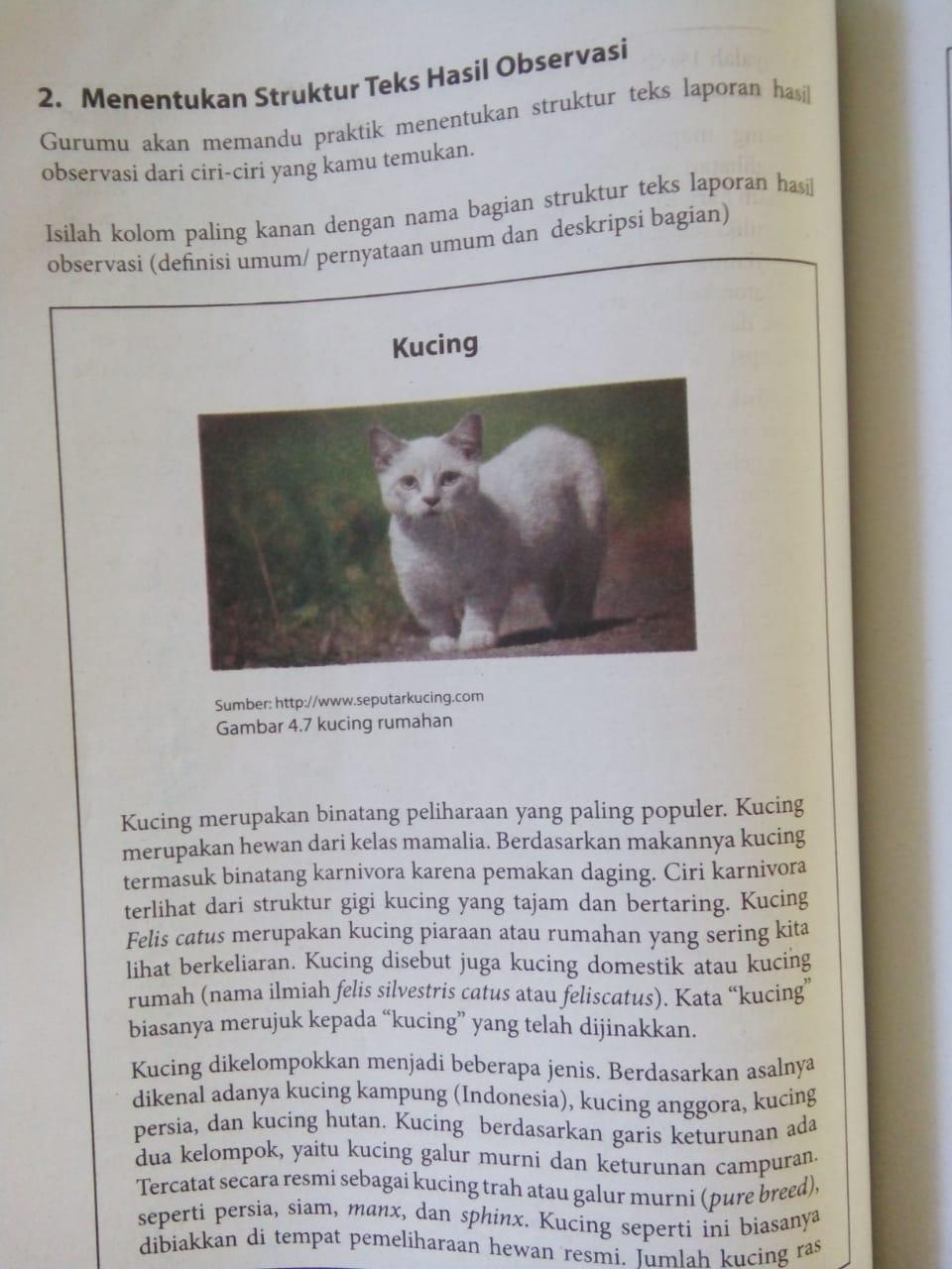 Laporan Hasil Observasi Kucing Free download Teks Laporan Hasil Observasi Tentang Kucing Persia naked photos with high resolution on Free Nude Porn Photos teks laporan hasil observasi tentang kucing persia Naked.