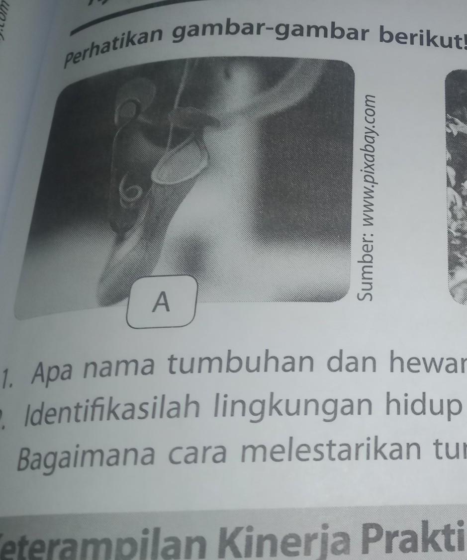 Download bupena jilid 4a pdf kunci jawaban bupena . Tdljaz Vfdvum