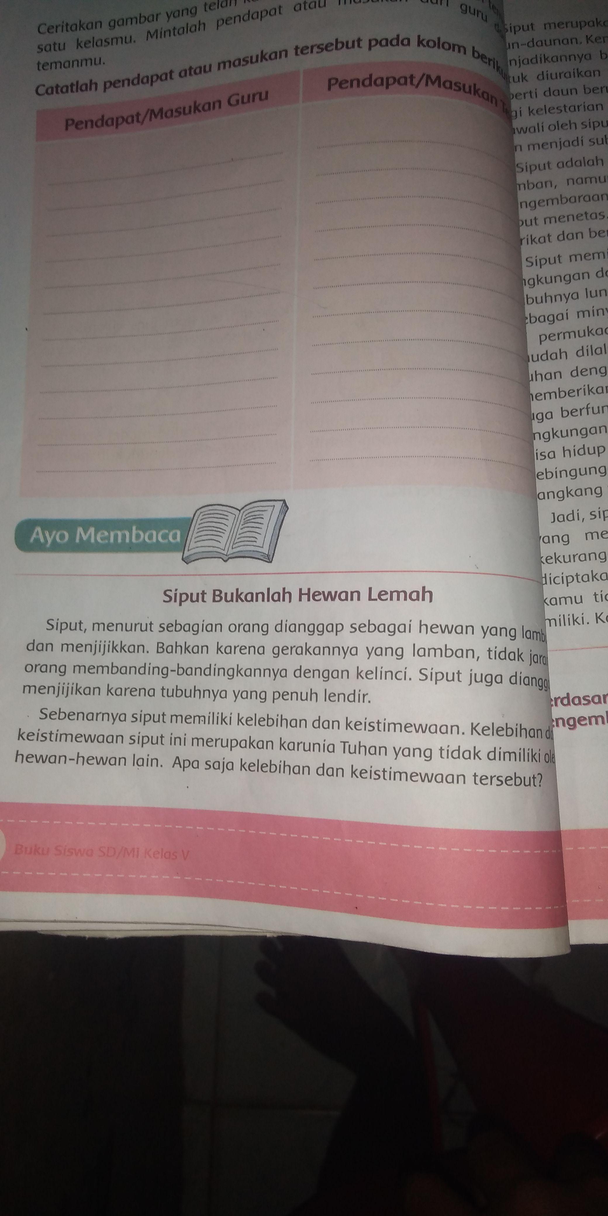 Beberapa contoh gastropoda adalah bekicot (achatina fulica), siput kebun (helix sp.) . Ide Pokok Dan Kalimat Pengembang Pada Cerita Siput Bukanlah Hewan Lemah Kls 5sd Brainly Co Id