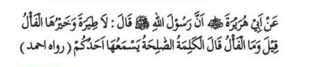 Tsalatsatul Ushul 11 Dalil Dalil Khusus Batilnya Ibadah Kepada Selain Allah 