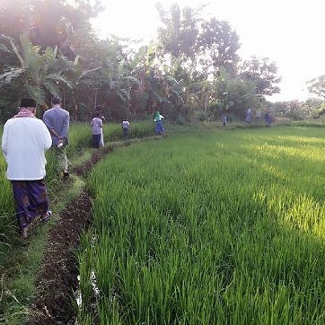 Sering membersihkan bak mandi akan memutuskan daur hidup nyamuk karena… Tahapan Metamorfosis Kupu Kupu Yg Menyebabkan Kerugian Petani Adalah Brainly Co Id