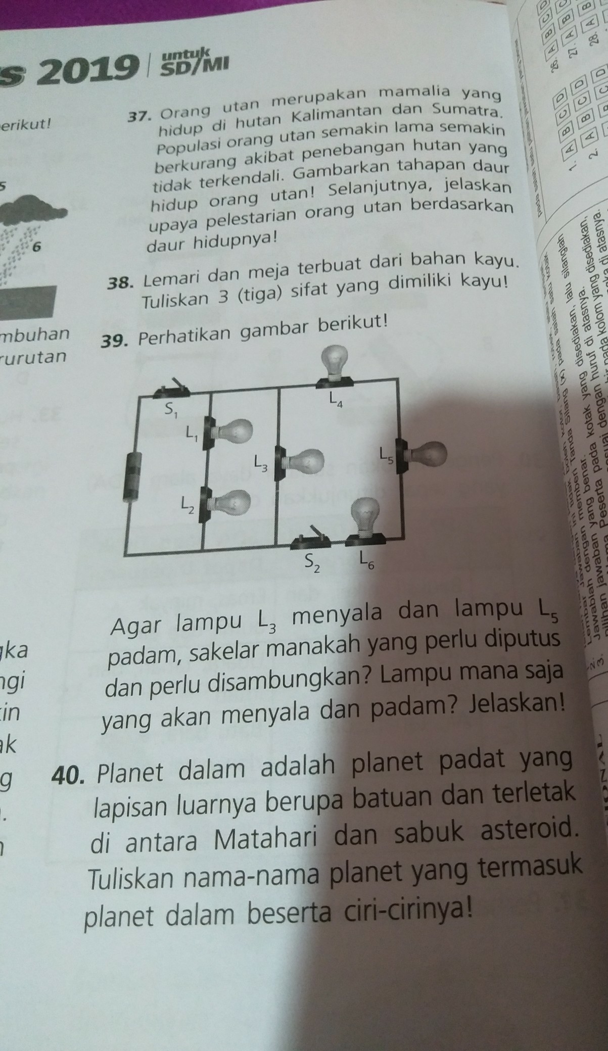 Mereka minum air susu ibu sampai umur 3 tahun sambil belajar memakan bentuk pangan lain. Pliss Tolong Di Jawab Y No 37 Sampai 40 Brainly Co Id