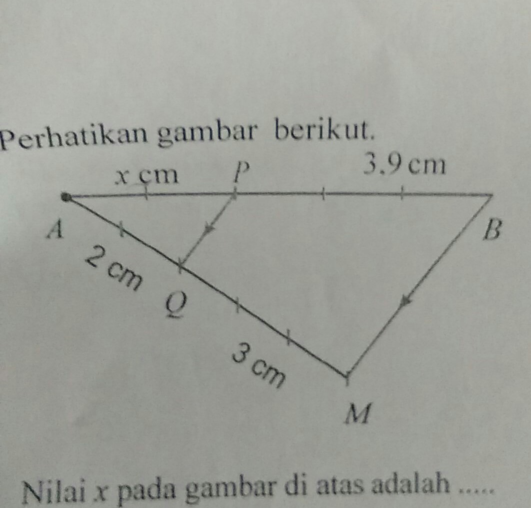 Carilah pasangan bangun yang sebangun di antara gambar di bawah ini. Perhatikan Gambar Berikut Nilai X Pada Gambar Diatas Adalah Brainly Co Id