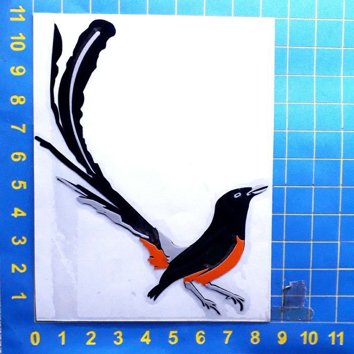 Jual lukisan burung murai di lapak galeriku lukisan via . Cutting Sticker Burung Sticker Helm Motor Bumper Dan Mobil Variasi Aksesoris Modifikasi Bukan Sticker Print Atau Decal Lazada Indonesia