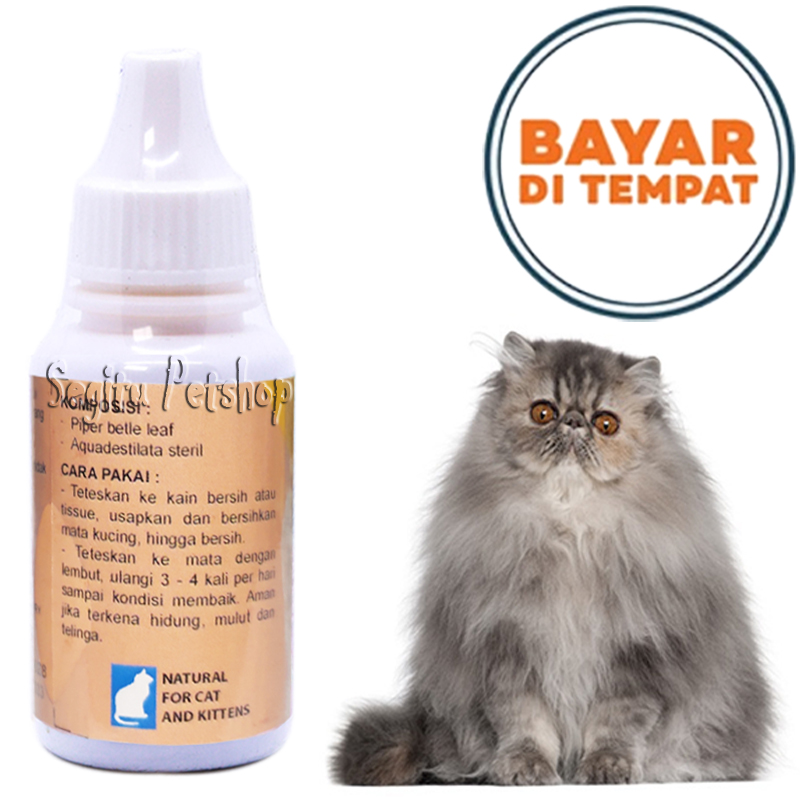 Sukses Beternak Kucing Ras Kumpulan Artikel Kucing Perawatan Kucing Menghilangkan Stain Noda Kekuningan Pada Rambut Kucing Tetapi jangan terlalu siang ya karena radiasi sinar UV nya juga berbahaya. Sukses Beternak Kucing Ras Kumpulan Artikel Kucing Perawatan Kucing Menghilangkan Stain Noda Kekuningan Pada Rambut Kucing Jemur Dibawah Sinar Matahari Langsung.