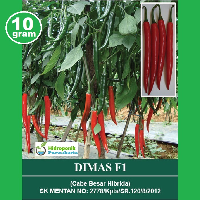 Benih cabai merah varietas baru dari balitbang kementan ini juga tahan penyakit, lebih pedas, dan lebih produktif. Jual Benih Cabe Lolay Terbaru Lazada Co Id