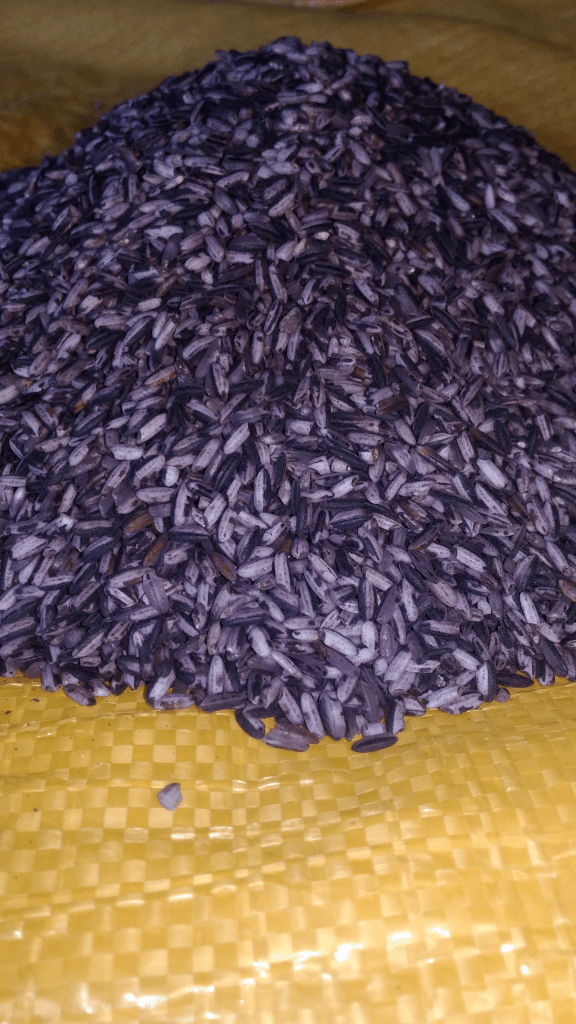 Daftar Harga Beras Ketan Hitam Bulan September 2021 