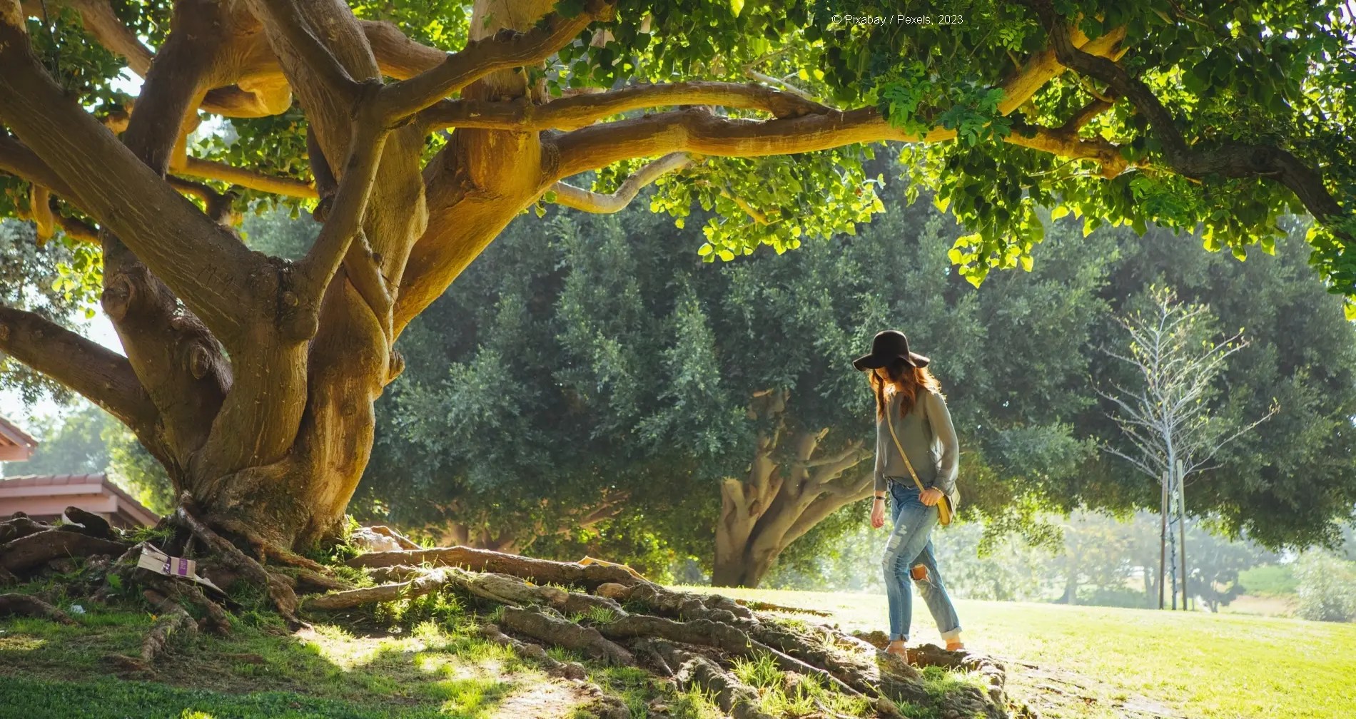 IDA - Istruzione degli adulti - Loescher editore