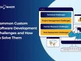 Custom Software Development Challenges And Solutions