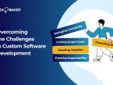 Custom Software Development Challenges And Solutions