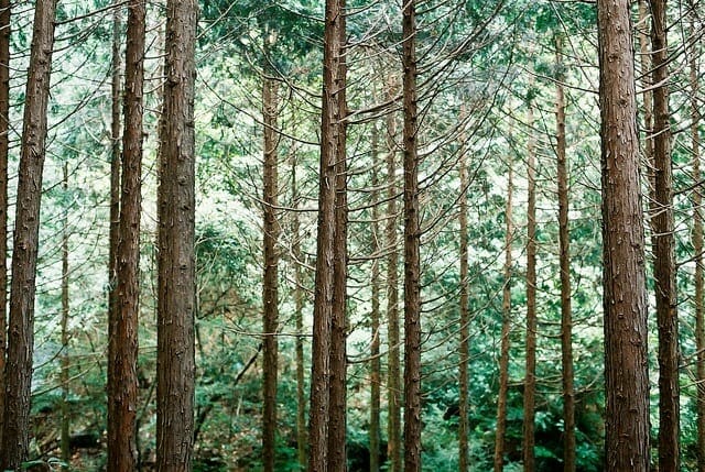 26 Green Entrepreneurs Who Are Helping Our Environment