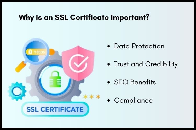 Why is an SSL Certificate Important?