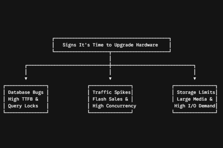 When Should You Upgrade to a Dedicated Server?