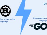 Rust Vs Go Detailed Comparison Guide Idea Usher Idea Usher