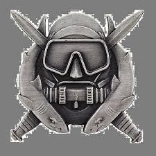 1poolcombatdiverbadge