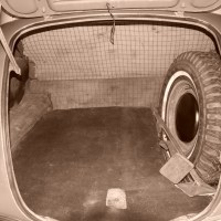 TrunkInSepiaSm