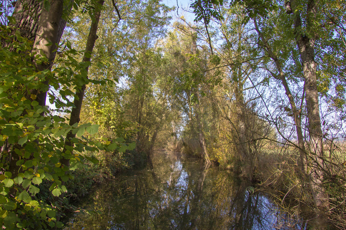 Der Ronkanal