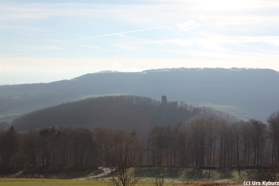 Ruine Schenkenberg