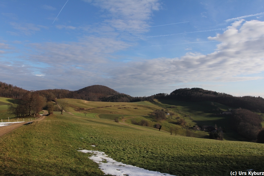 Beim Chillholz oberhalb Schinznach Dorf