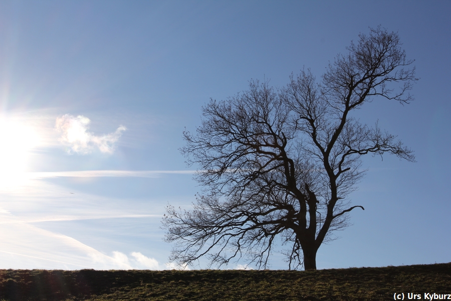 Die Sonne steht tief Ende Dezember