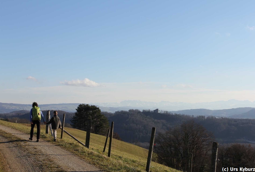 Blick auf die Habsburg