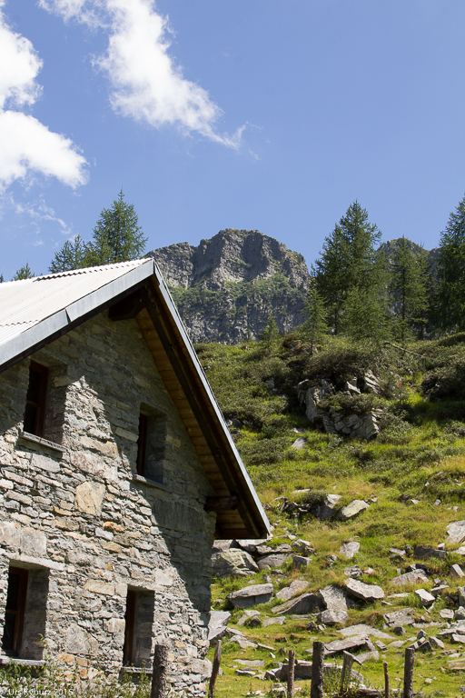 Eine weitere Alp unterwegs