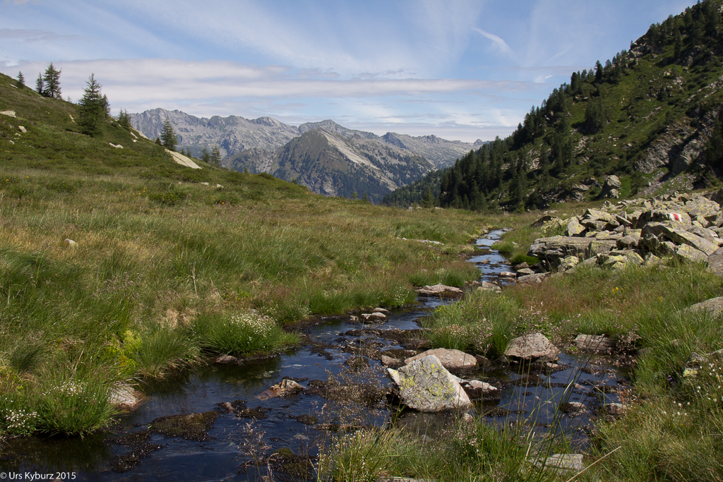 Munter sprudelt das Bächlein