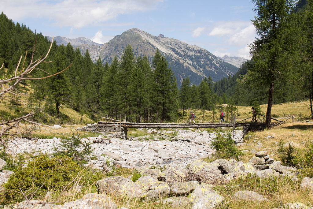 Auf der Alpe di Sfii