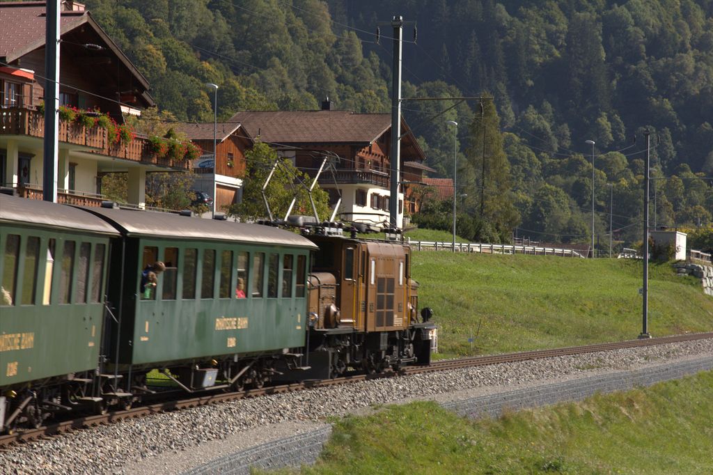 Der Zug in Fahrt