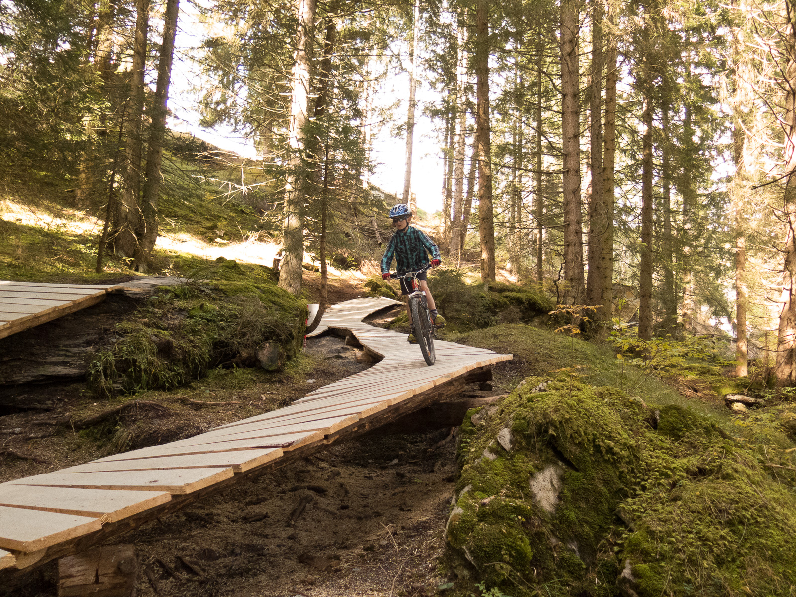 Die Holzwege sind schmal