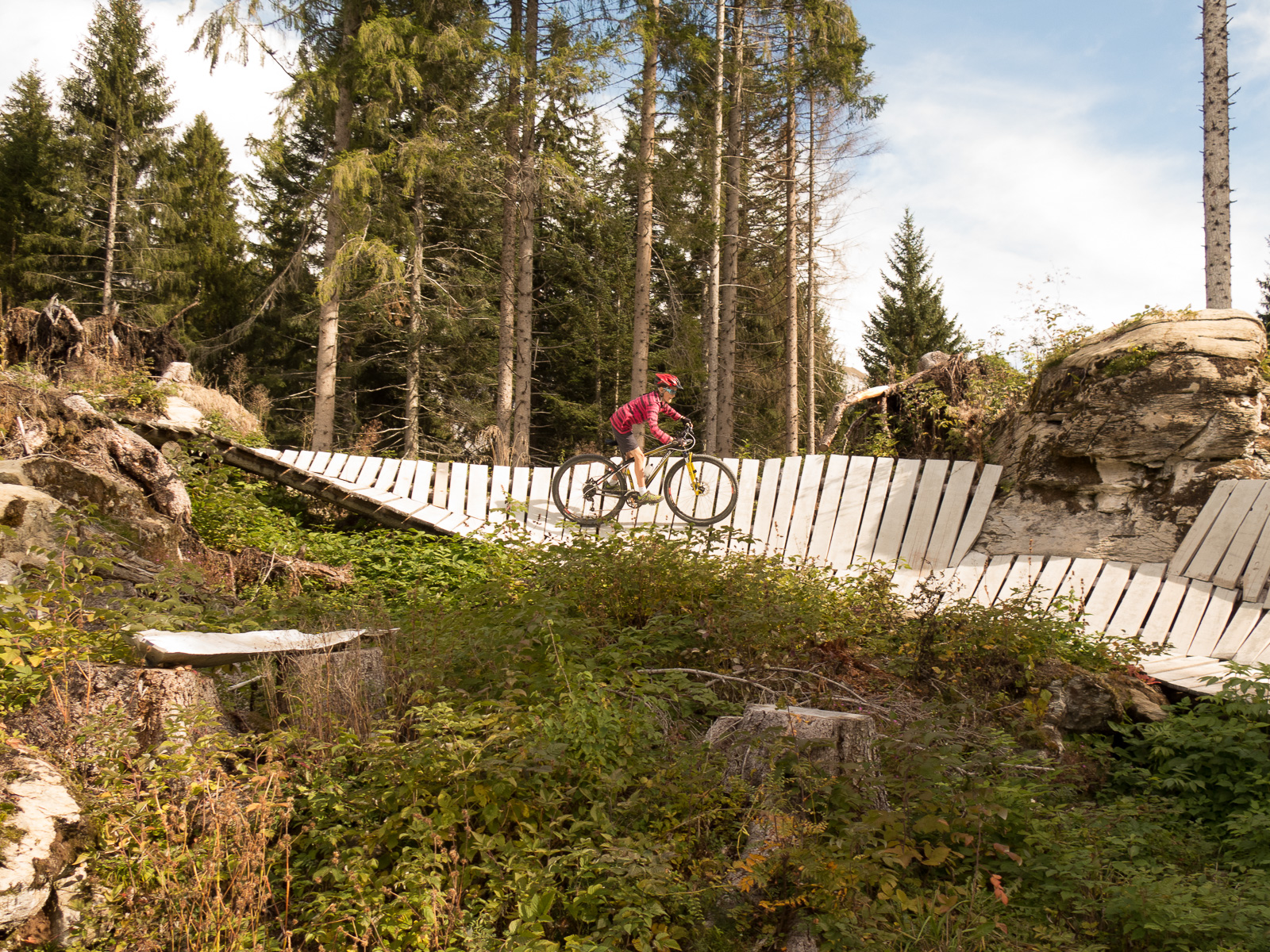 Auf Holz unterwegs