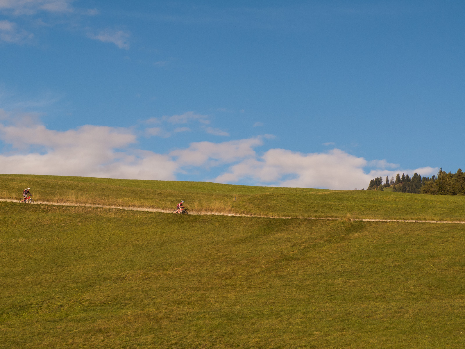 Runterbrettern auf der Strasse