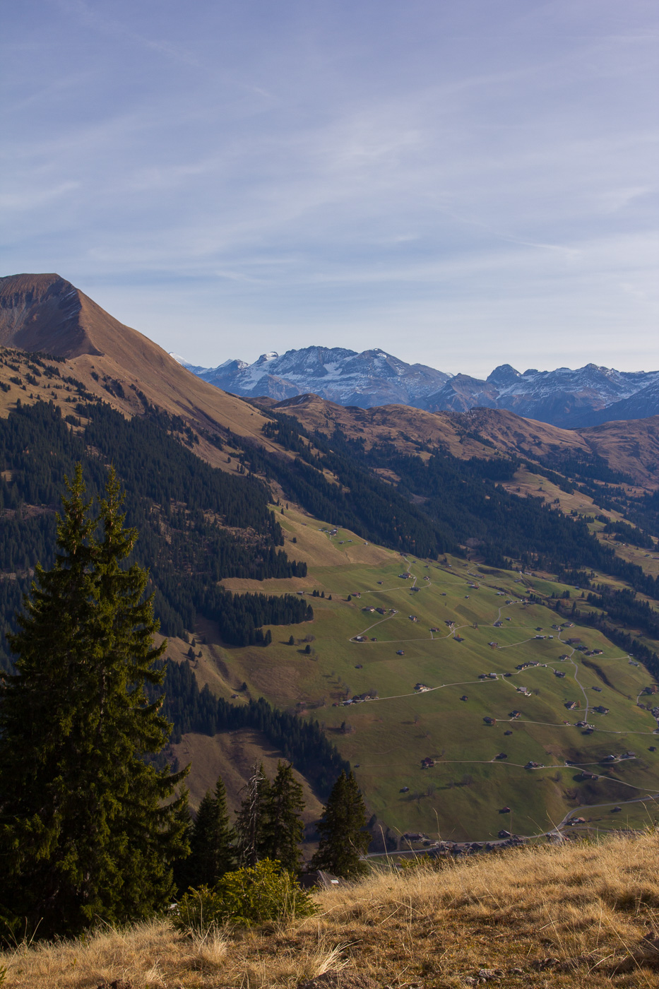 Lauenehorn mit Einzelhöfen zu dessen Fuss