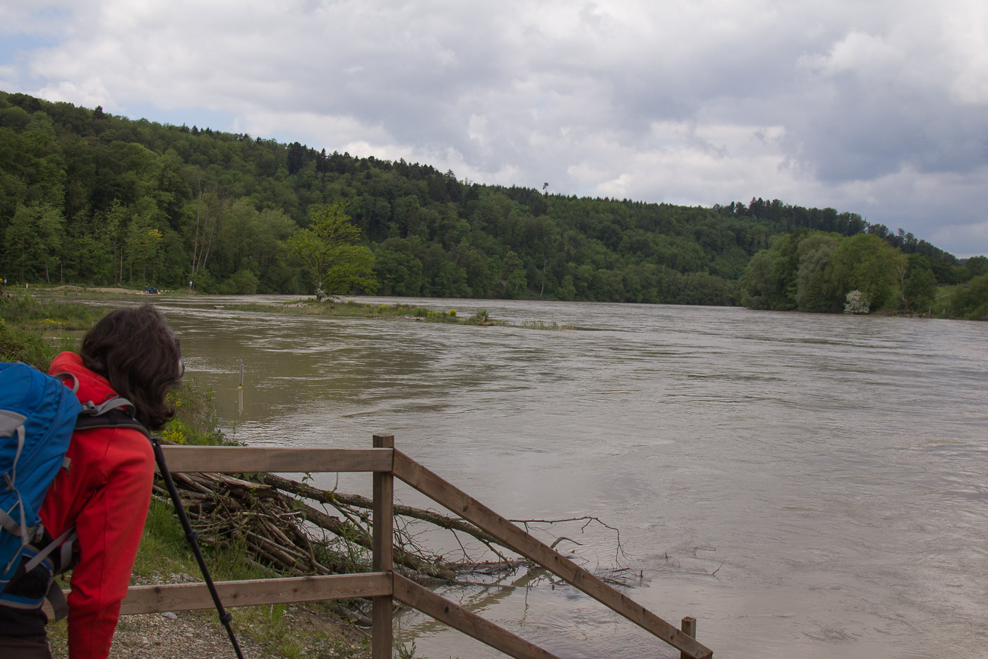 Flussuferläufer im Visier