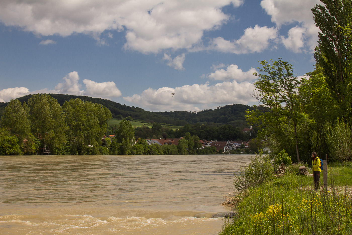 Blick nach Deutschland über den Rhein