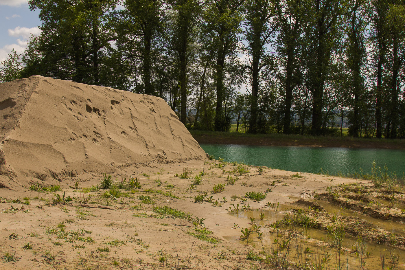 Die Brutwand für die Uferschwalben