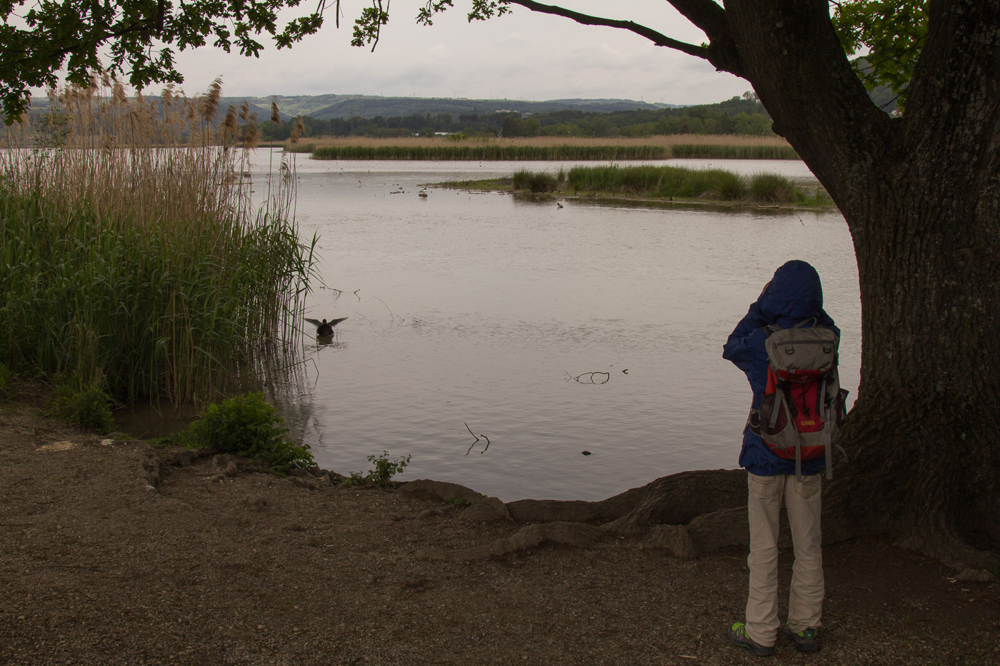 Auch Kinder sind fasziniert von der Vogelwelt