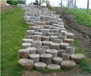 Standard_1172