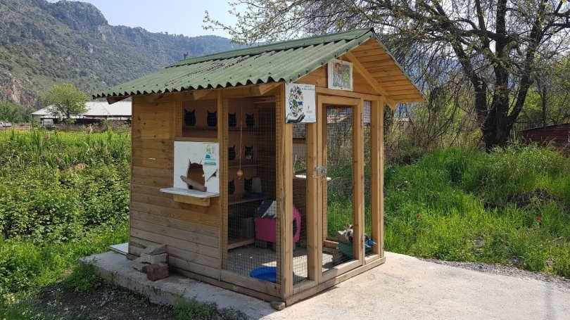 The expat community help to set up street cat flats, in Dalyan, Turkey. (Photo courtesy of Leyla Yvonne Ergil)