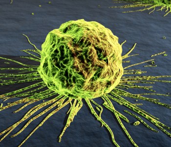 CANCER CELL