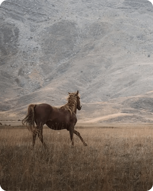 맨몸운동의 여러 효과와 시작법은