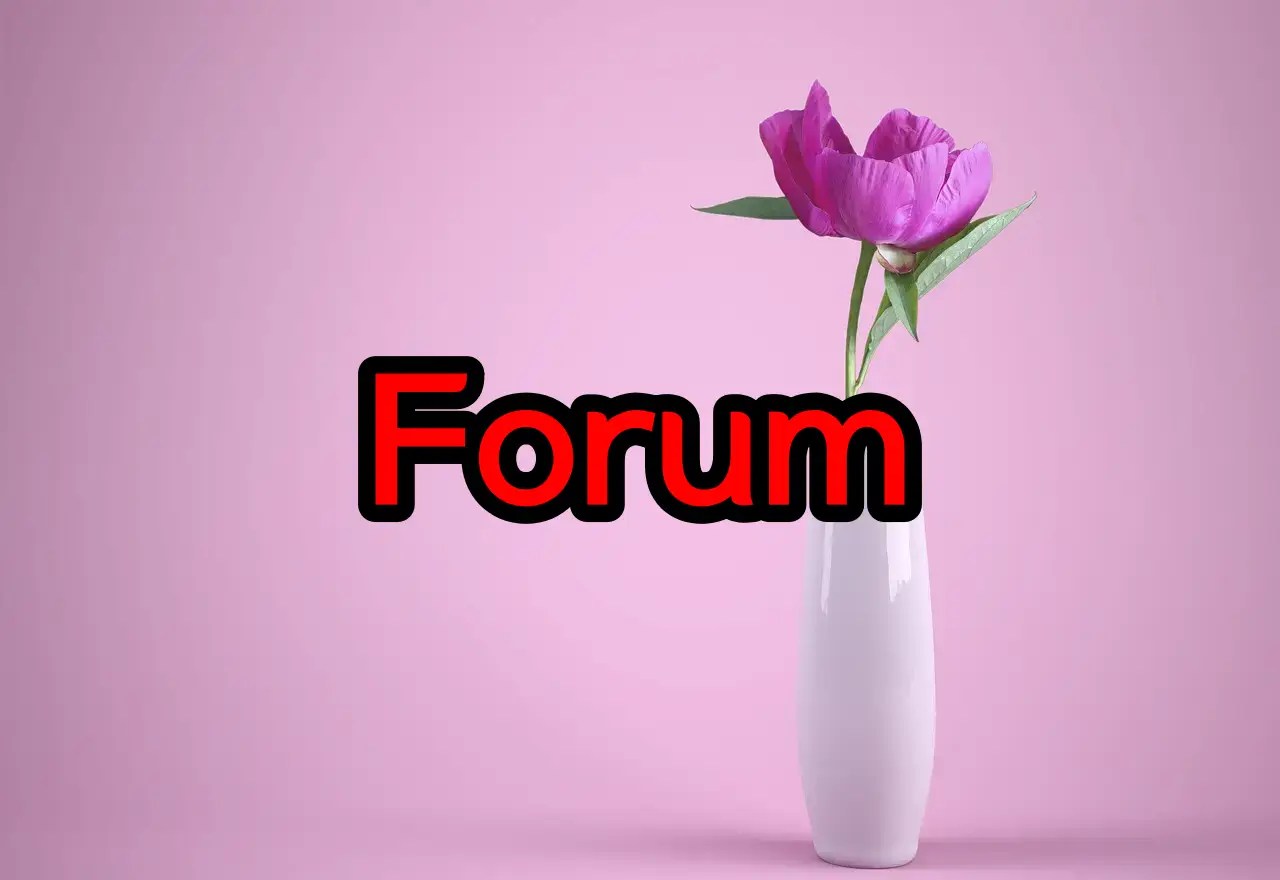 forum