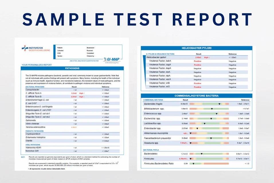 GI MAP Test DNA Stool Analysis IFDW Institute For 
